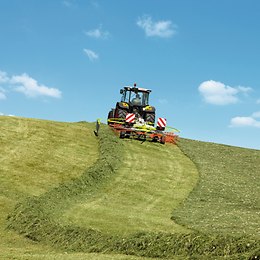 Andanatore LINER Andanatore LINER
