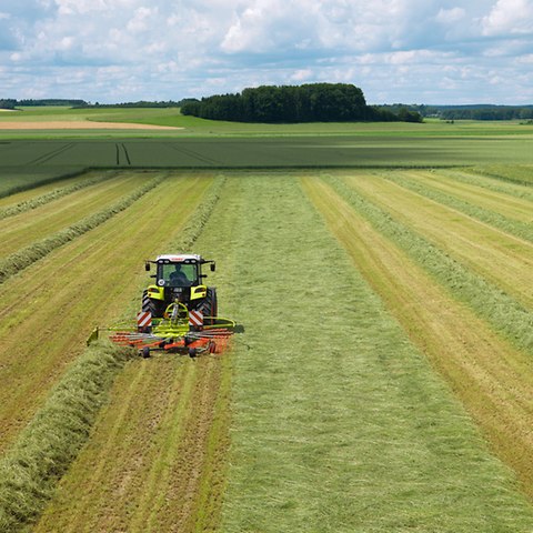 Andanatore LINER