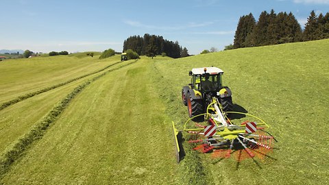 Andanatore LINER